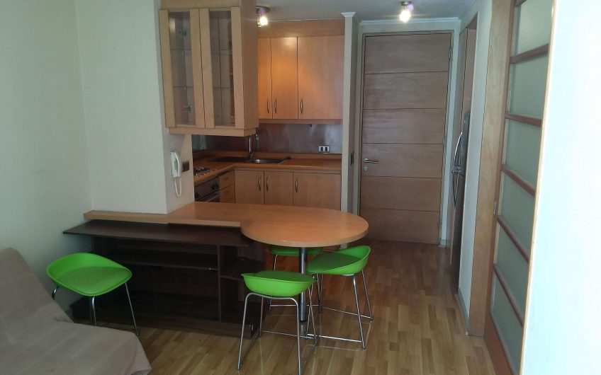 Departamento centro Viña del Mar (1D – 1B)