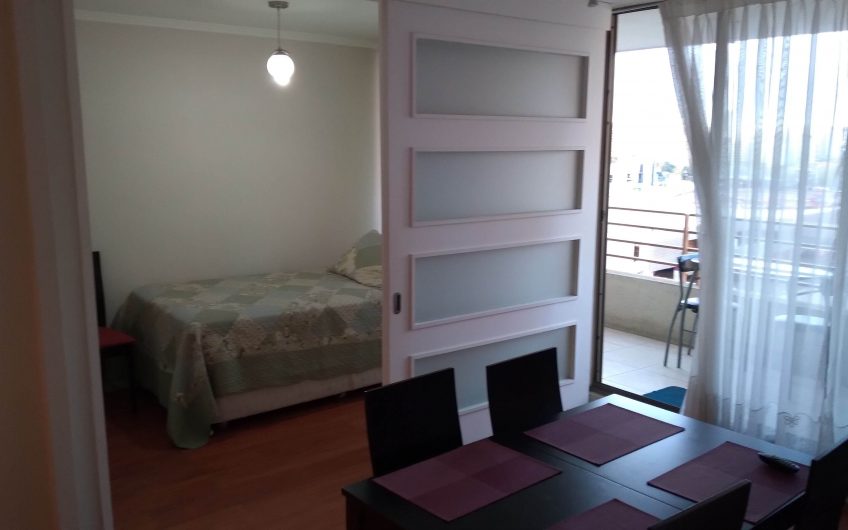 Departamento Plan de Viña del Mar (2D/1B/1Bod/1E)