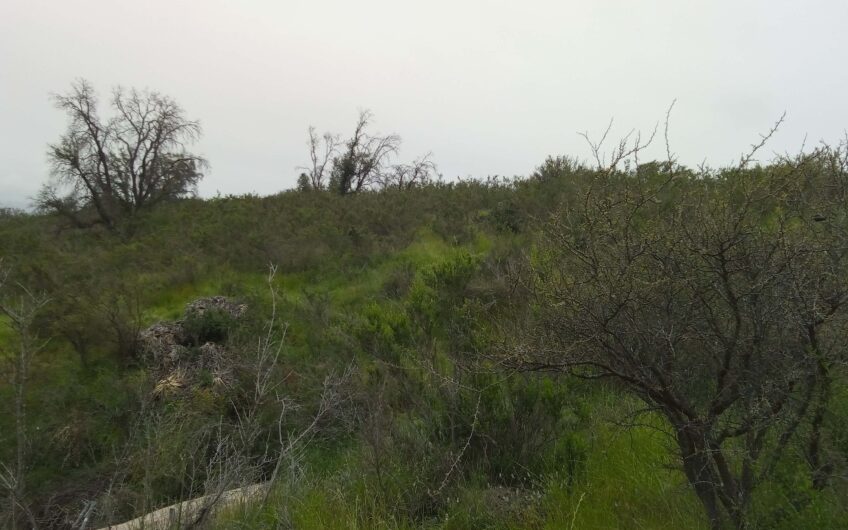 Parcela 5.558 m2 Rinconada del Lago, Limache