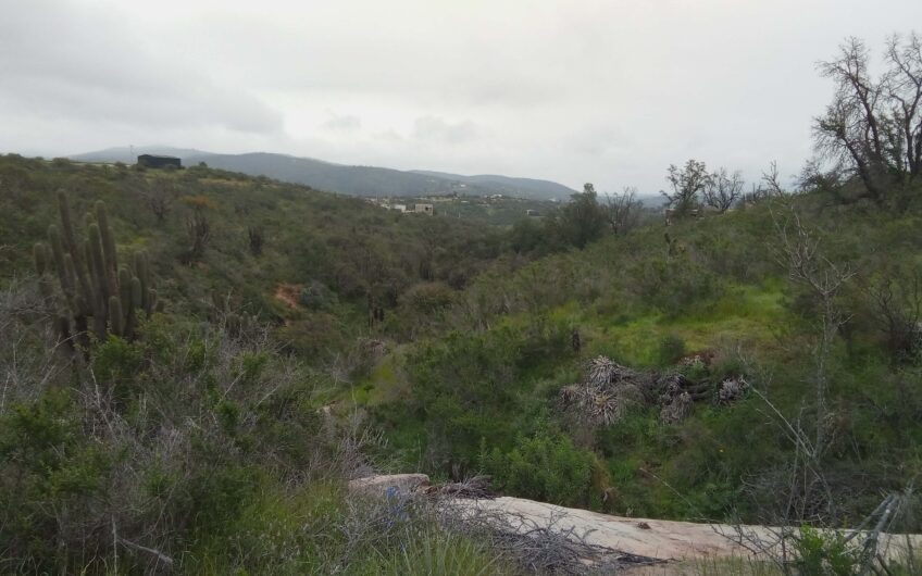 Parcela 5.558 m2 Rinconada del Lago, Limache