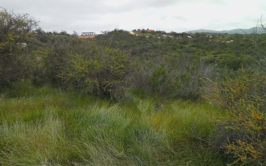 Parcela 5.558 m2 Rinconada del Lago, Limache