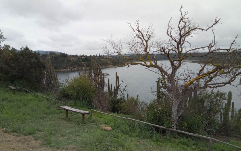 Parcela 5.558 m2 Rinconada del Lago, Limache