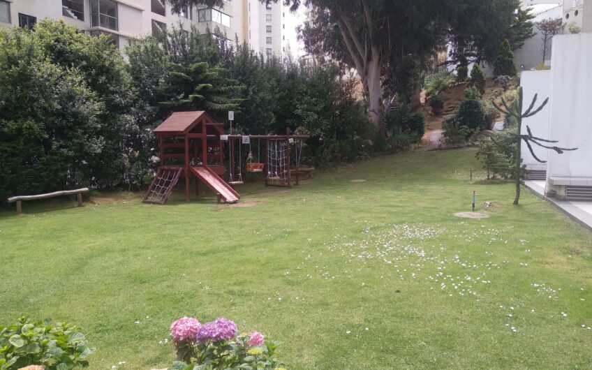 DEPTO. CORACEROS /VIÑA DEL MAR /1D-1B-E-BOD.
