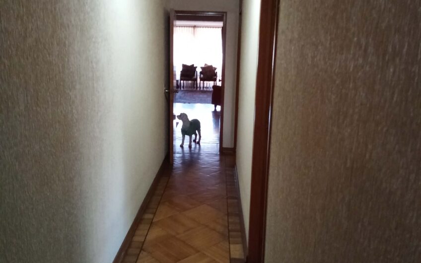 Amplio Depto. Plan de Viña del Mar (3D/3B/1E/1Bod)