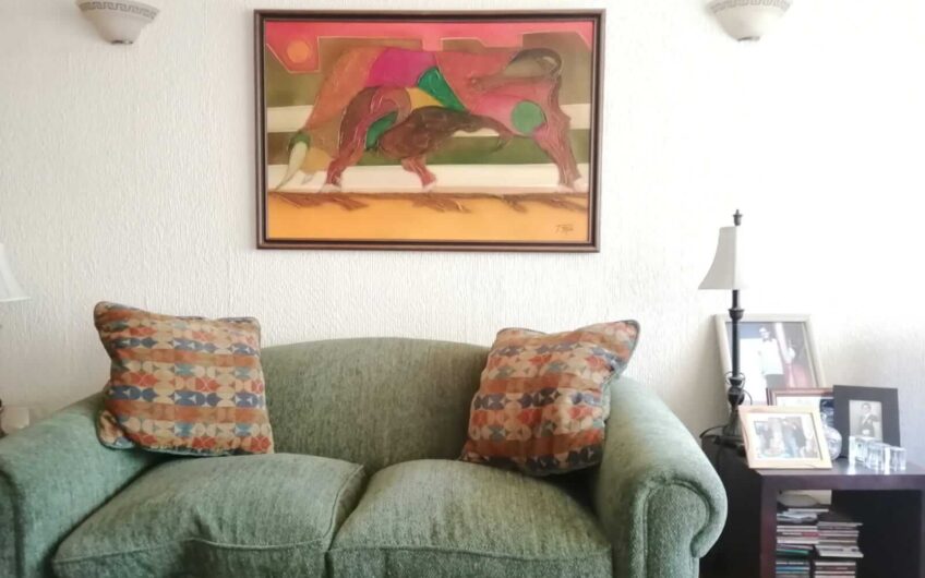 Amplio Depto. Plan de Viña del Mar (3D/3B/1E/1Bod)